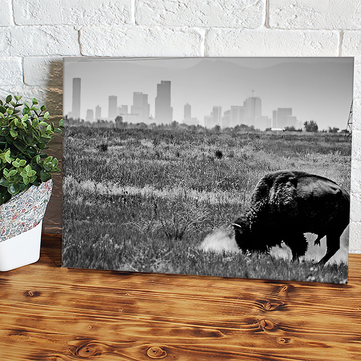 DENVER_20BLACK_20_20WHITE_20COLORADO_20BUFFALO_20WALL_20ART-1.jpg
