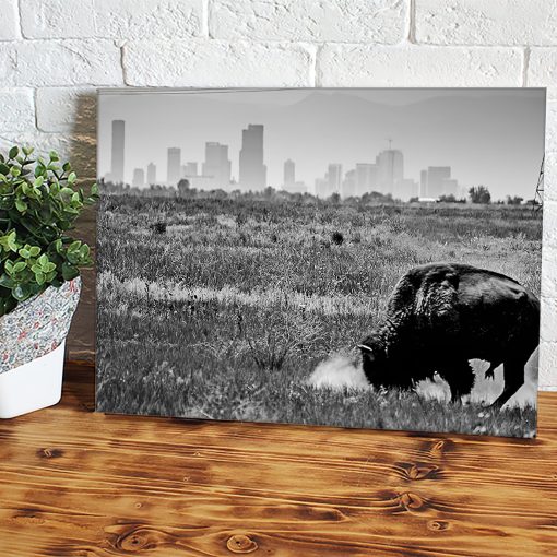 Denver Colorado Buffalo Wandbilder In Schwarz-wei? Leinwandbilder - Leinwand, Wandbilder, Segeltuch, Painting Canvas