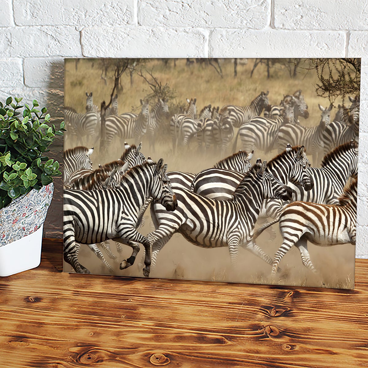 Herd_20of_20zebras_20galloping_20in_20the_20Serengeti_20National_20Park_20Tanzania-2_12acee78-5a04-4d0c-98e7-b7b2c81eb3b7.jpg