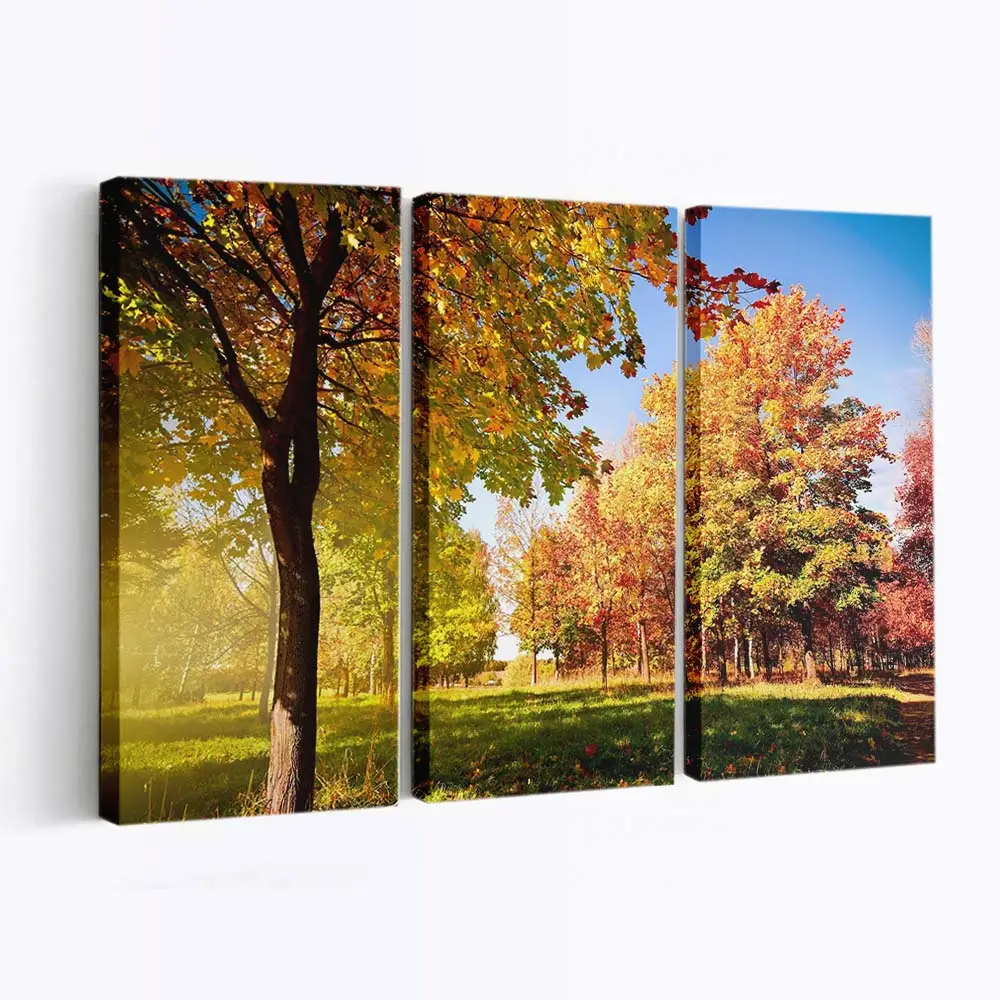 Der Beginn Der Herbstzeit Leinwandbild