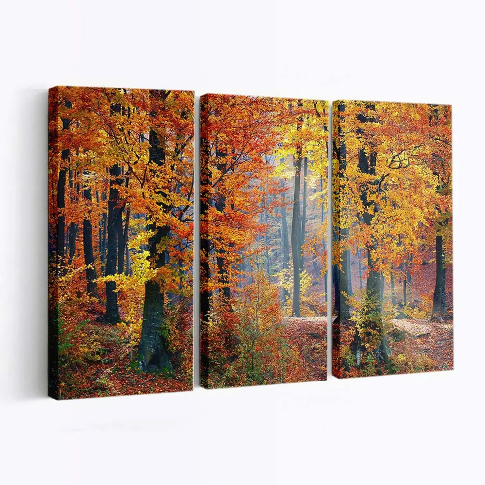 Detaillierte Farben Des Herbstlaubs Leinwandbild