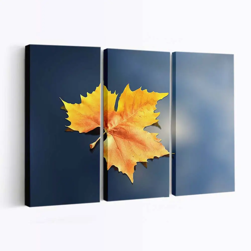 Einsames Gefallenes Herbstblatt Leinwandbild
