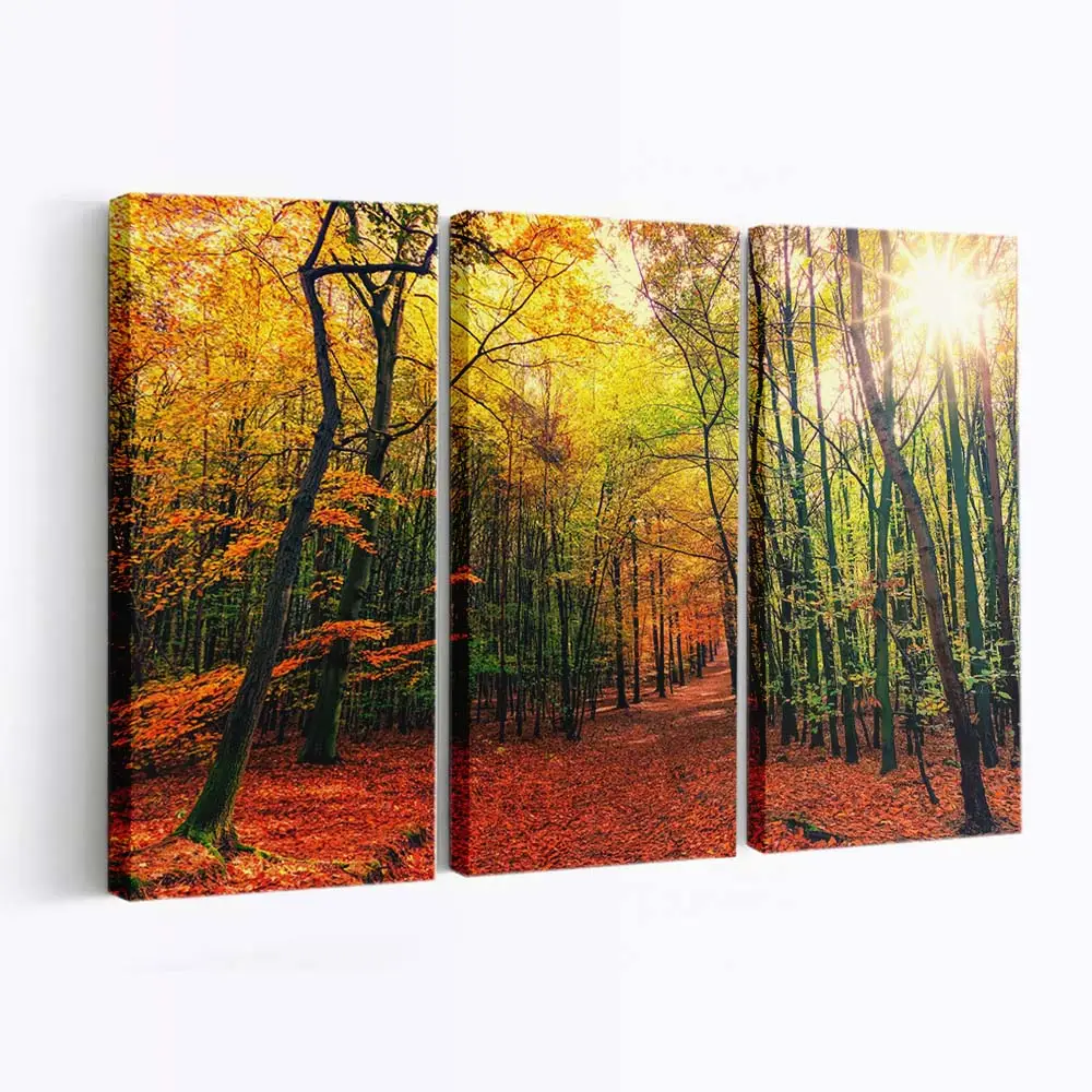 Farben Eines Sonnigen Waldwegs Im Herbst Leinwandbild
