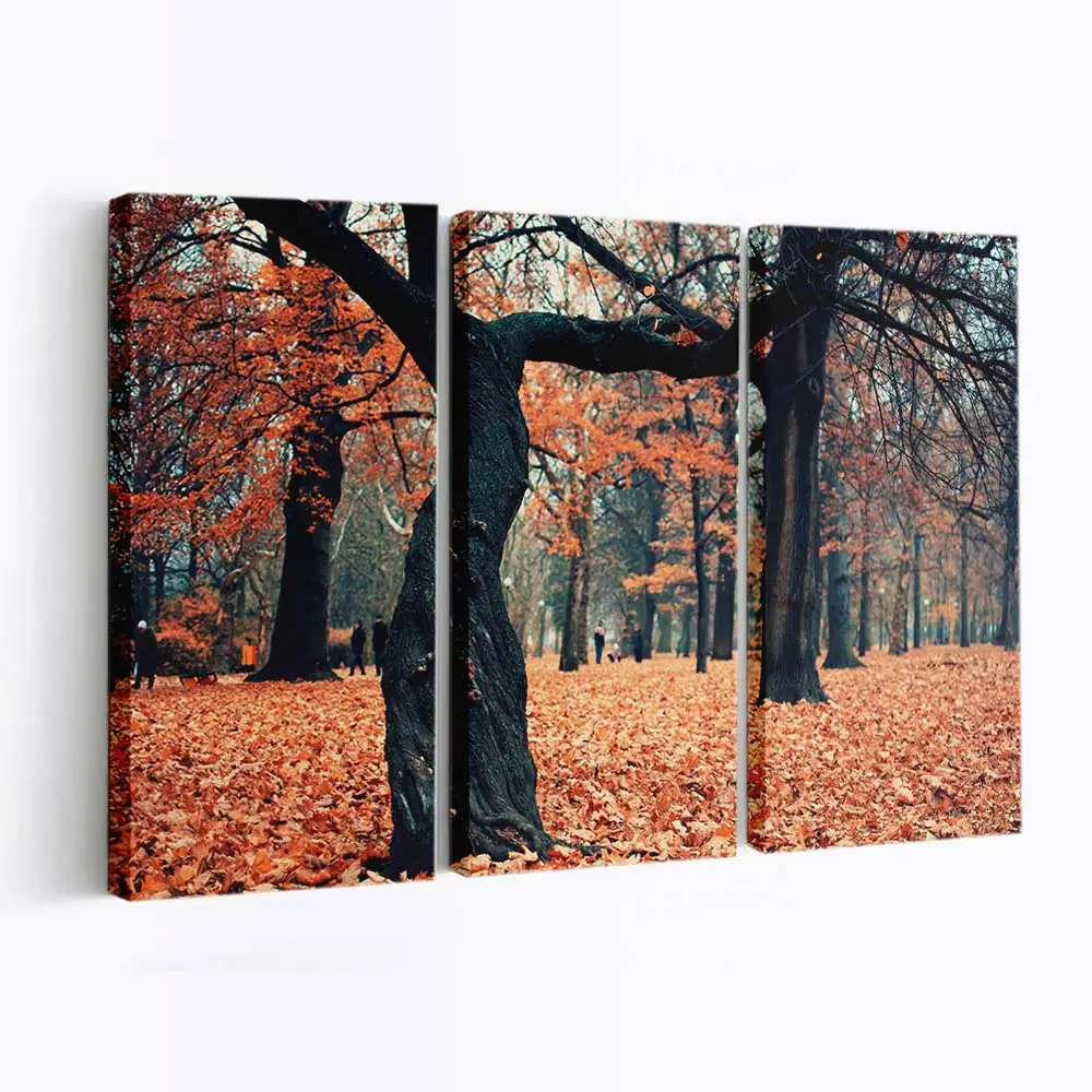 Friedliche Parklandschaft Im Herbst Leinwandbild