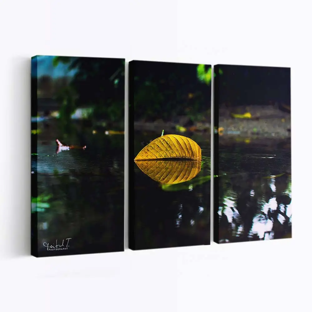 Gelbes Herbstblatt Auf Dem Wasser Leinwandbild