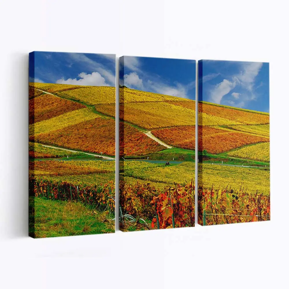 Goldene Herbstliche Weinberge Leinwandbild