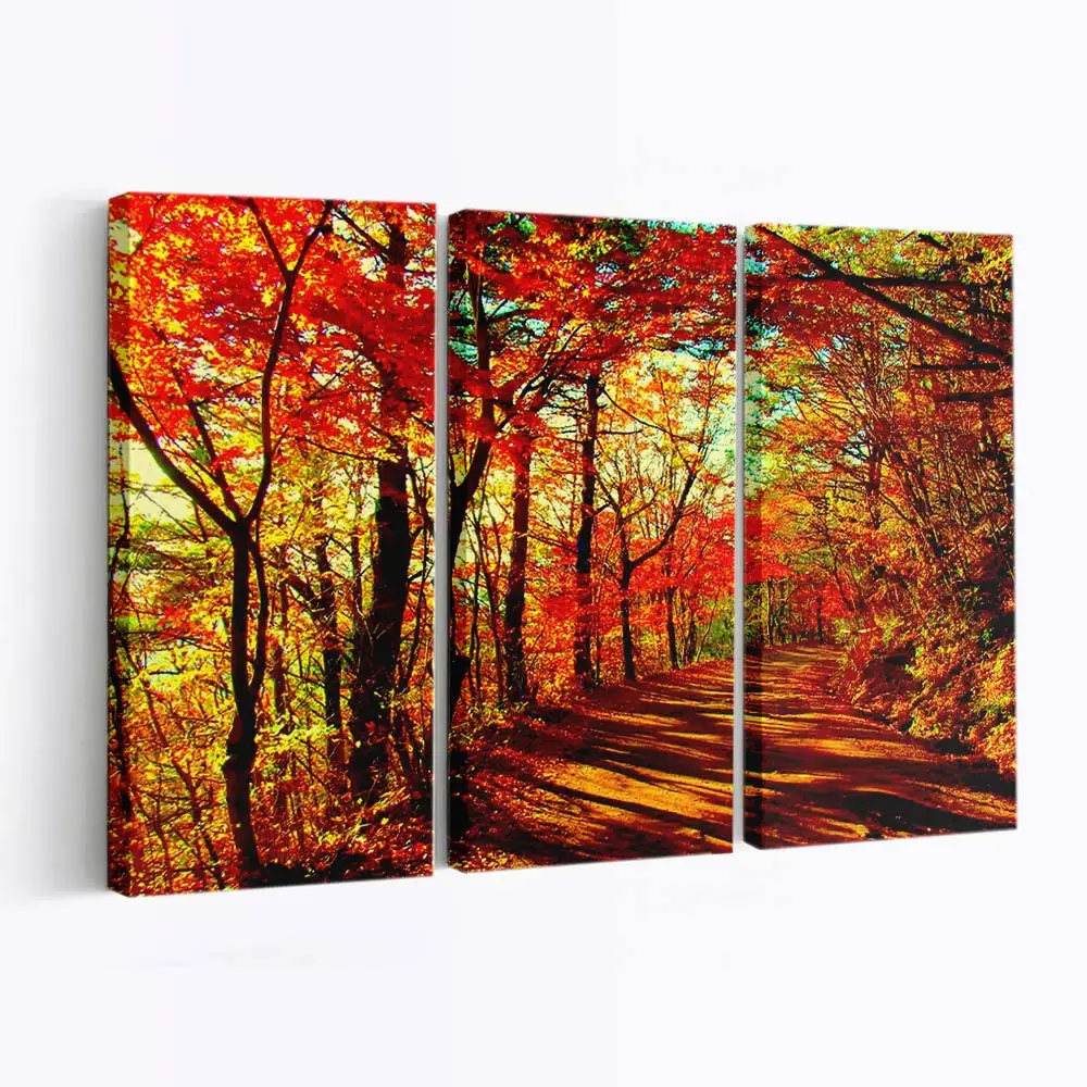 Goldenes Laub Im Herbstwald Leinwandbild