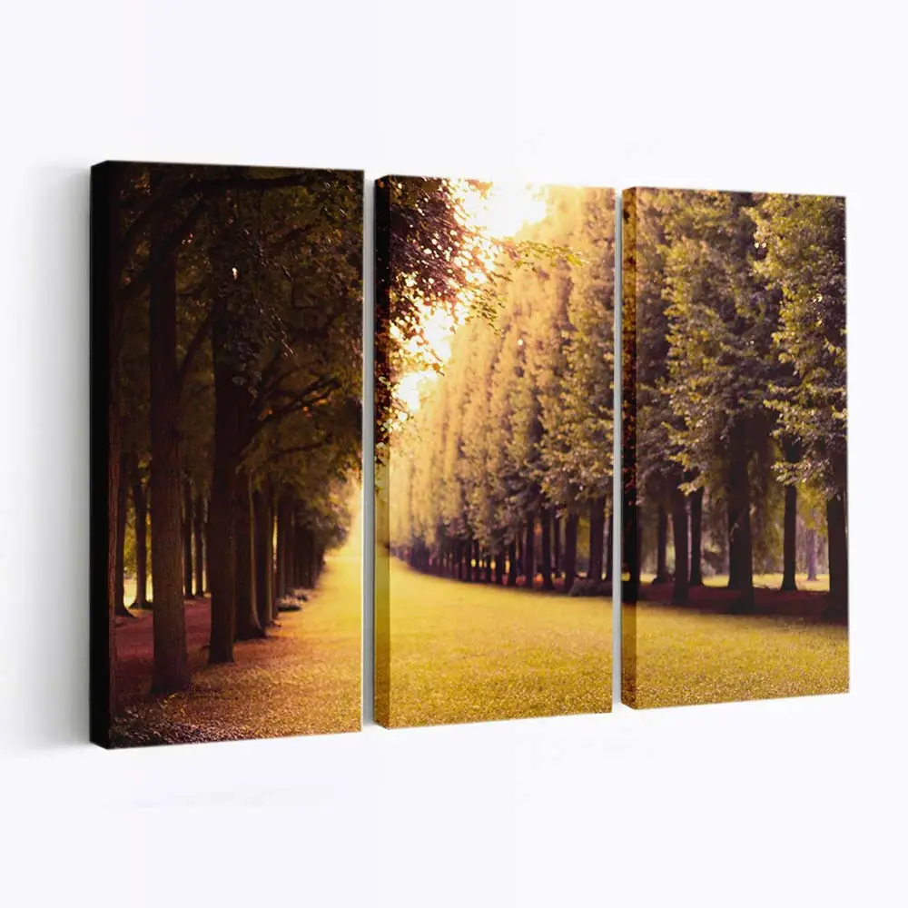 Grasbewachsene Allee Im Herbst Leinwandbild