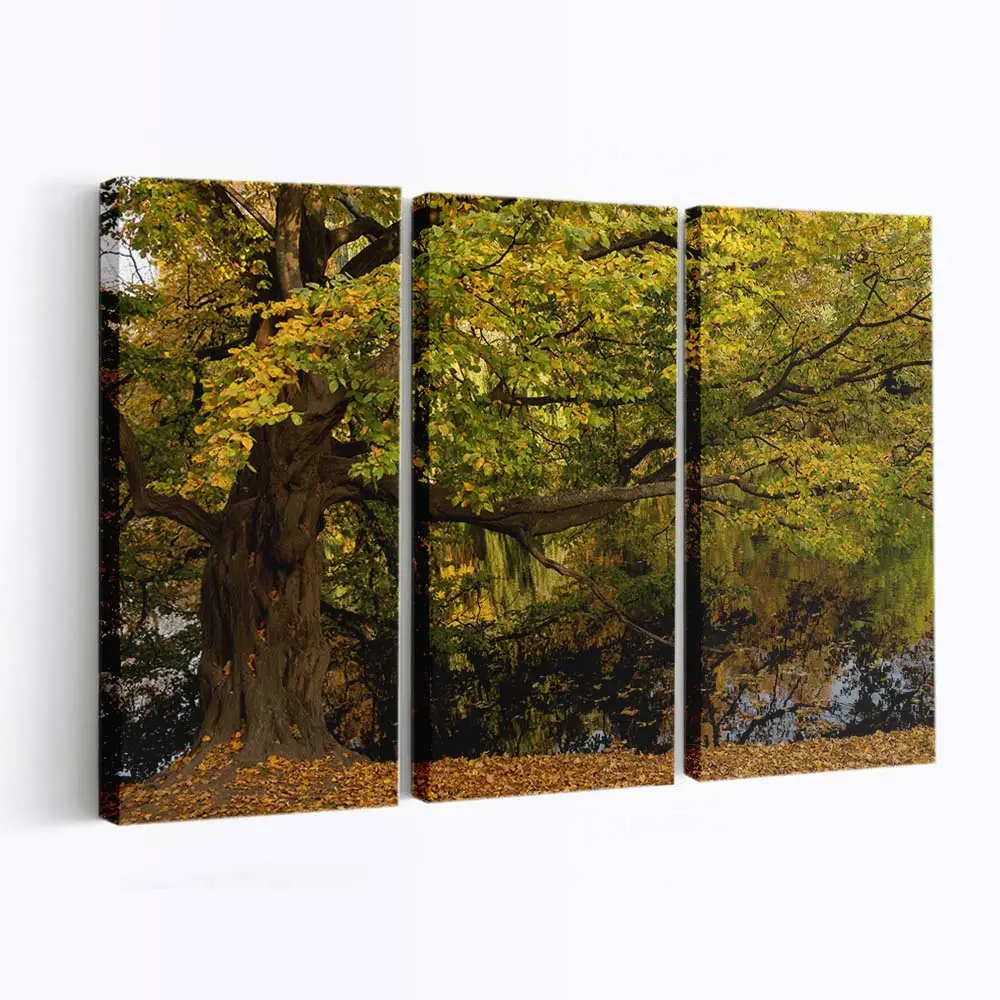 Herbstbaum Am Wasser Leinwandbild