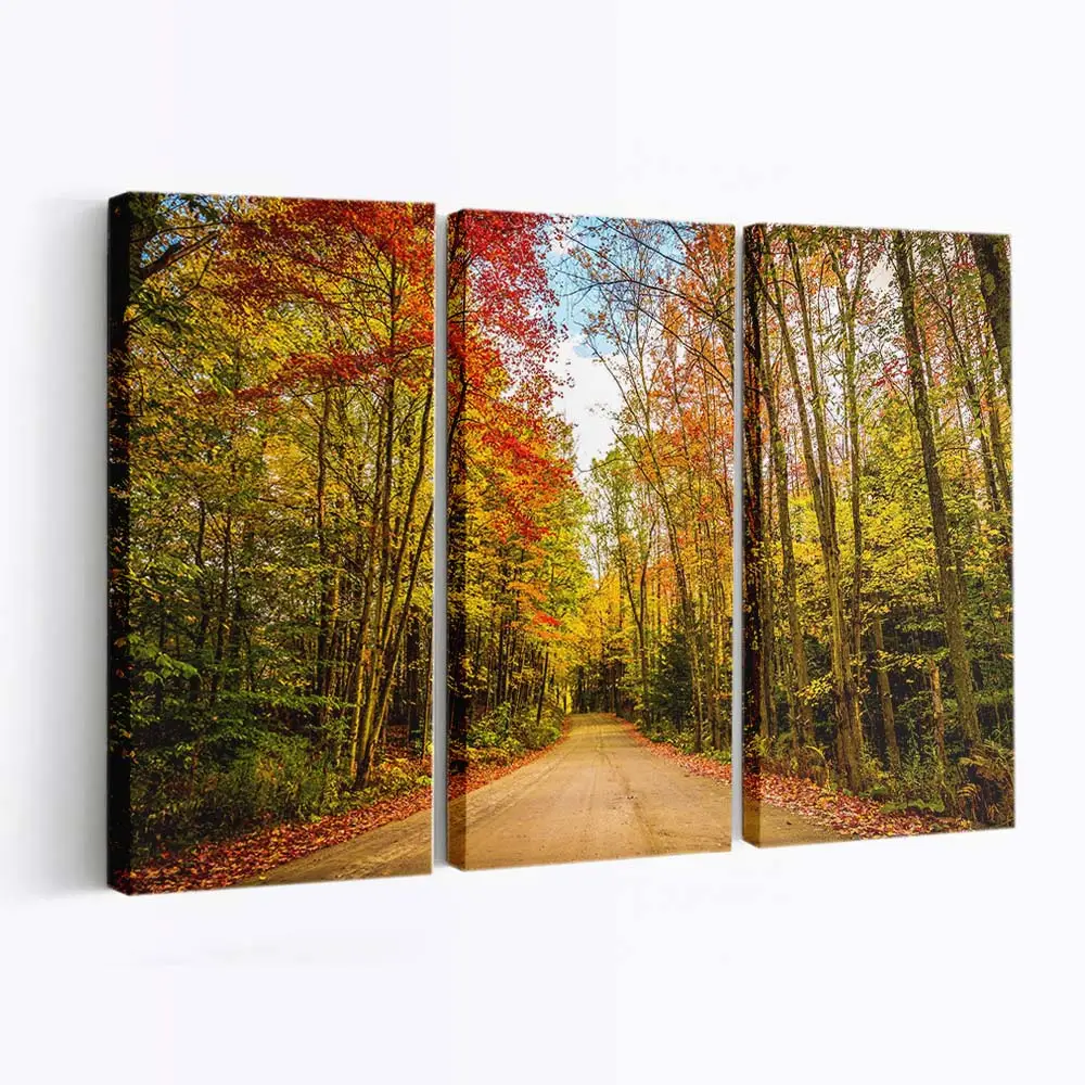 Herbstfarben Entlang Einer Reiseroute Leinwandbild