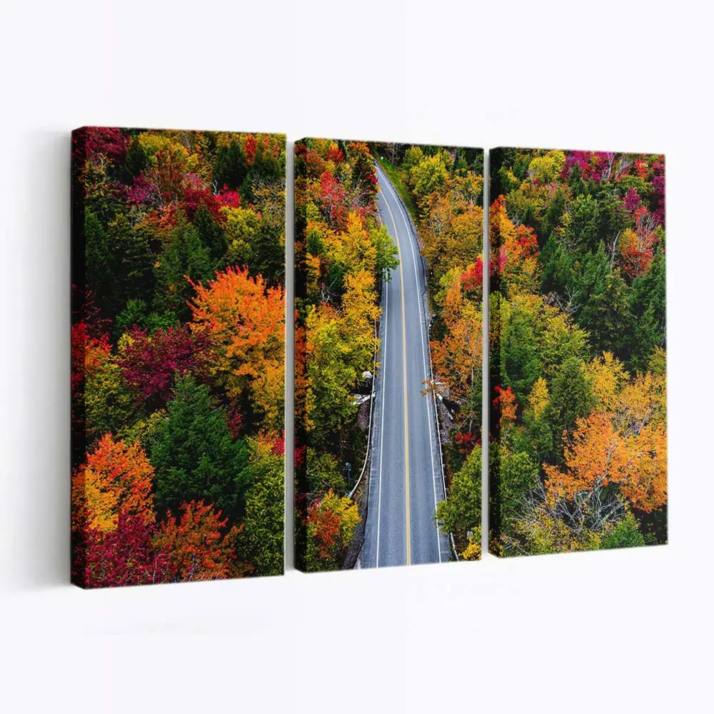 Herbstfarben Entlang Einer Waldstrae Leinwandbild