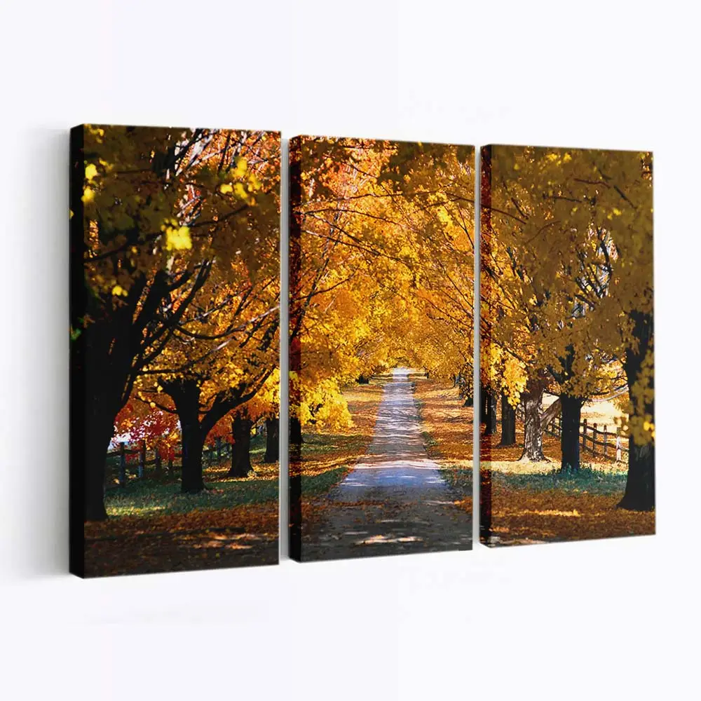 Herbstlicher Baumtunnel Leinwandbild