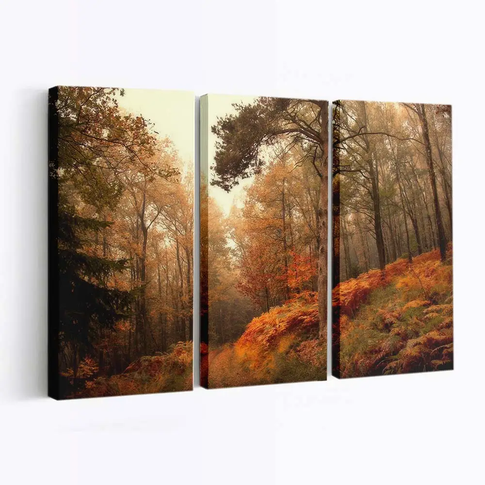 Herbstlicher Weg Durch Die Überge Leinwandbild