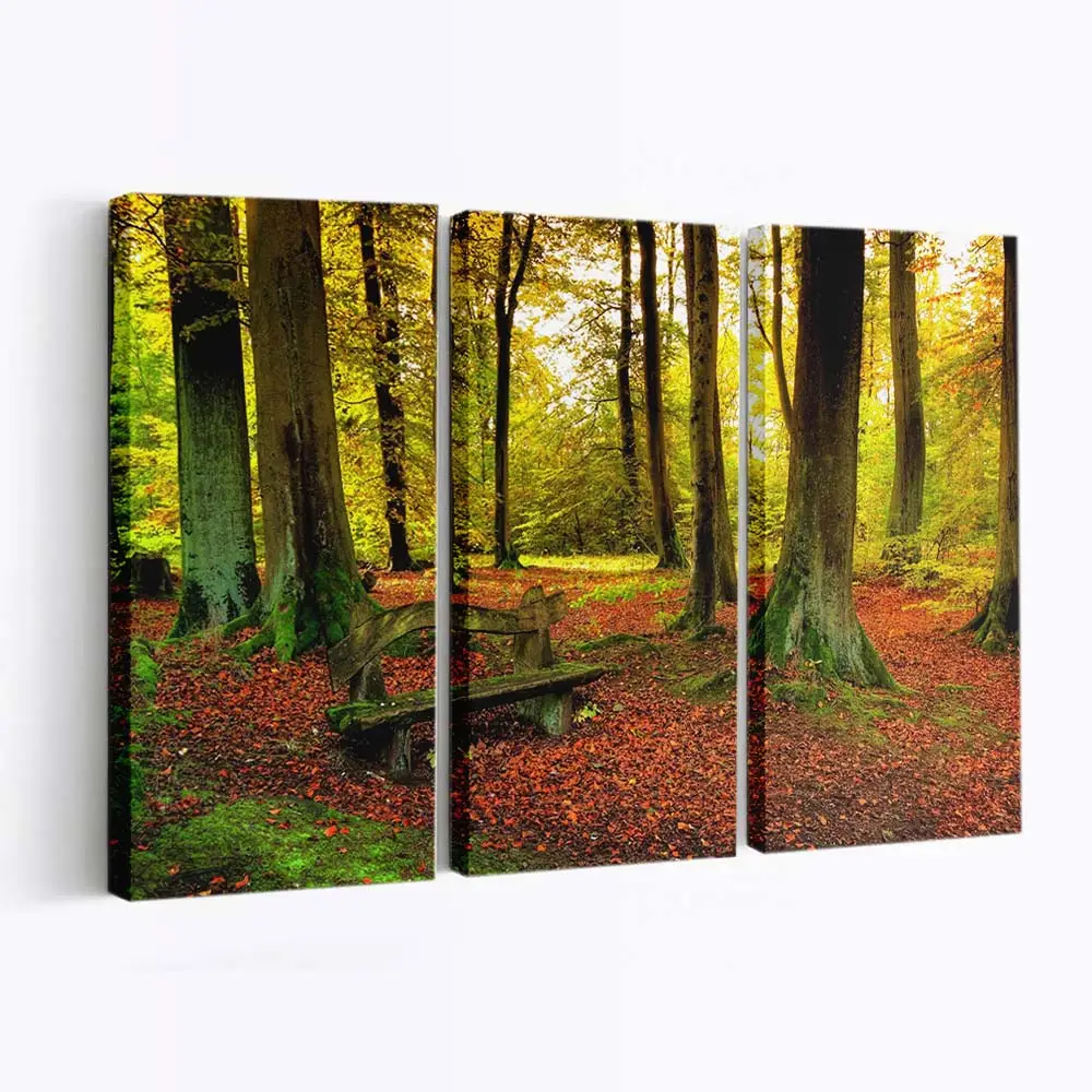 Herbstwaldszene Leinwandbild