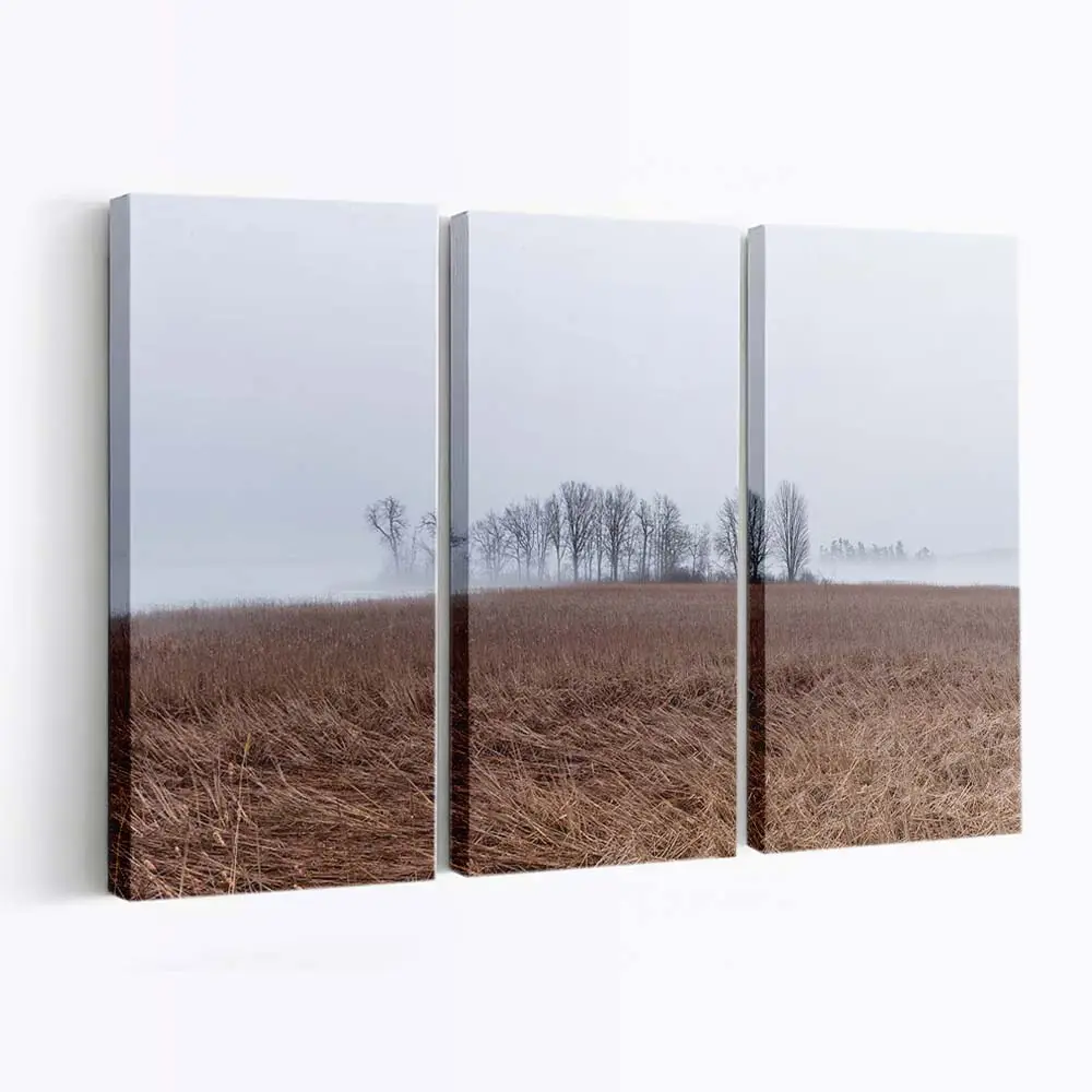 Kalte Neblige Landschaft Mit Kahlen Bäumen Leinwandbild