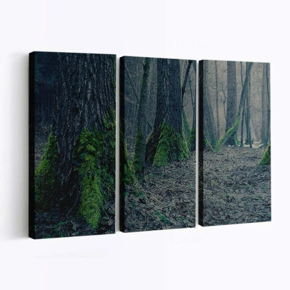 Kalter Herbsttag Im Wald Leinwandbild