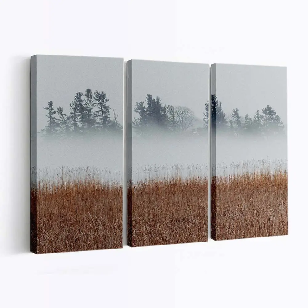 Kaltes Nebliges Schilf Und Herbstbume Leinwandbild