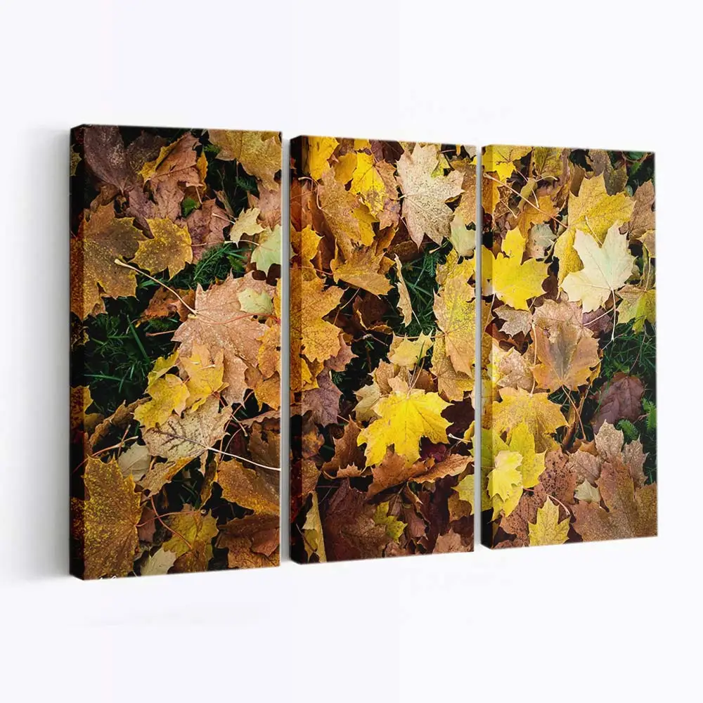 Leuchtend Gelbe Herbstbltter 1 Leinwandbild
