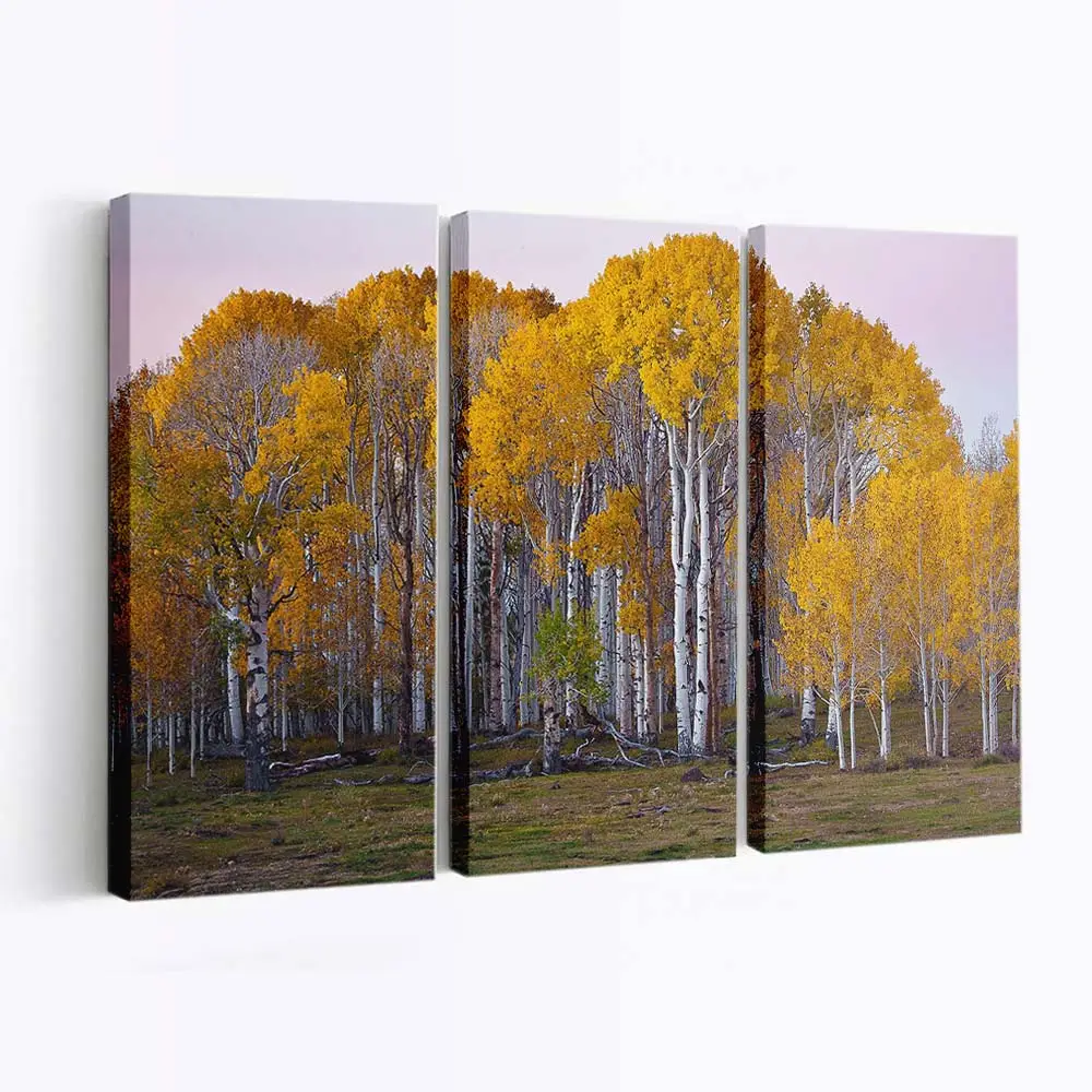 Leuchtend Gelbe Herbstbume Leinwandbild