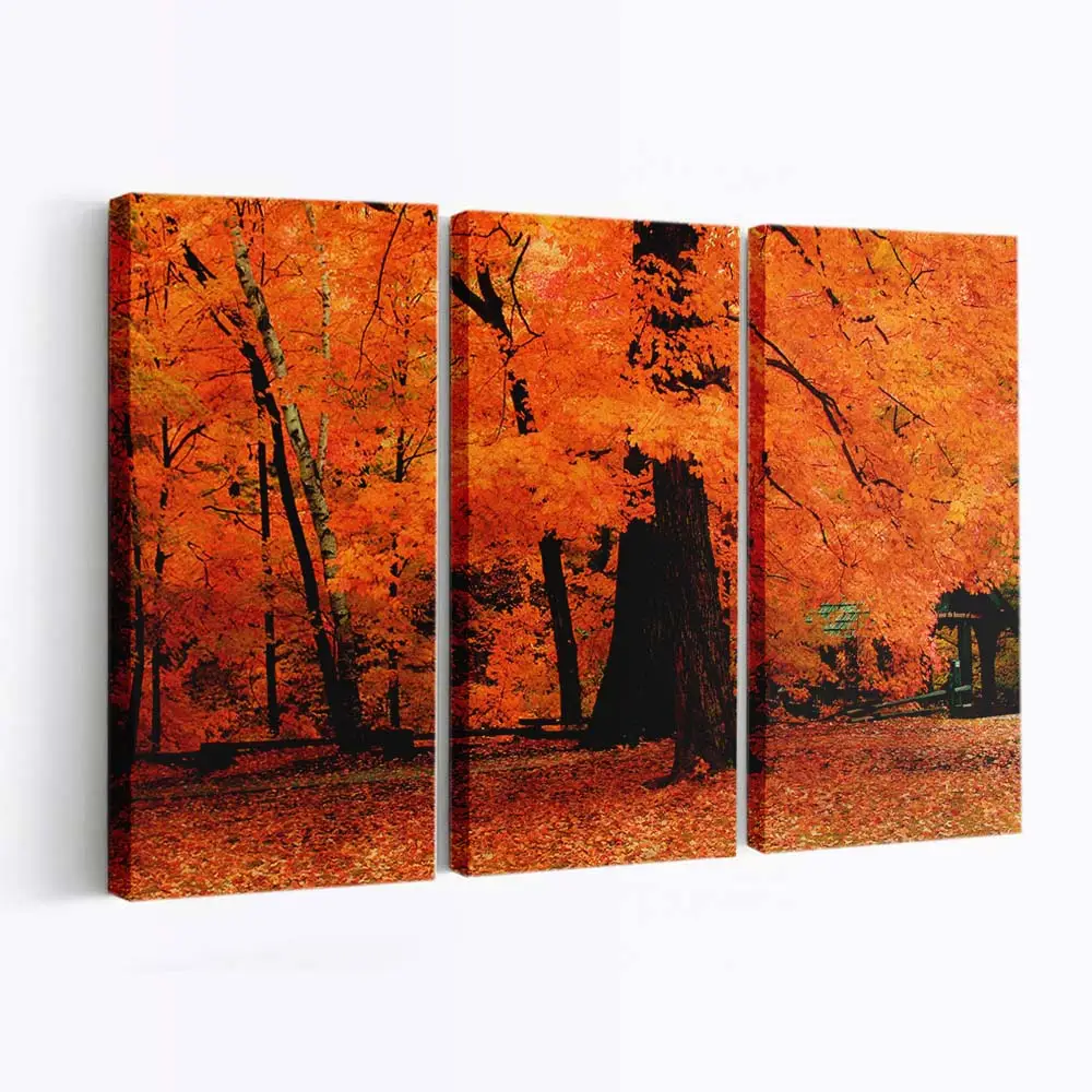 Leuchtend Orangefarbene Herbstfarben Leinwandbild