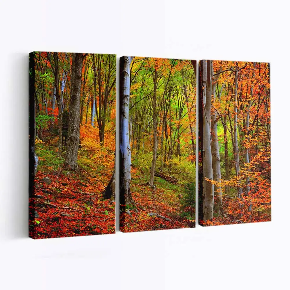 Leuchtendes Herbstlaub Im Wald Leinwandbild
