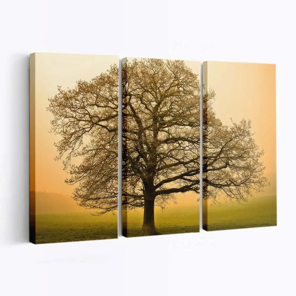 Majestätischer Baum Im Herbst Leinwandbild
