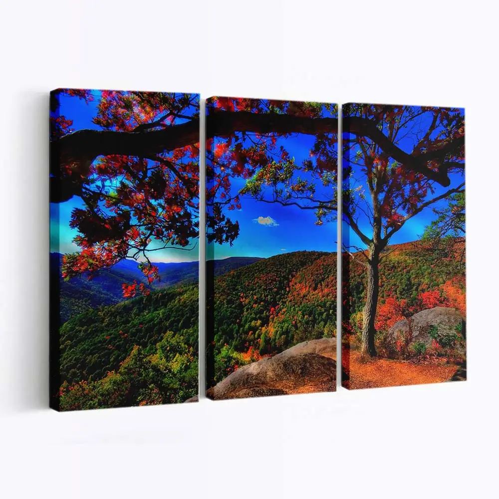 Malerische Herbstwaldlandschaft Leinwandbild