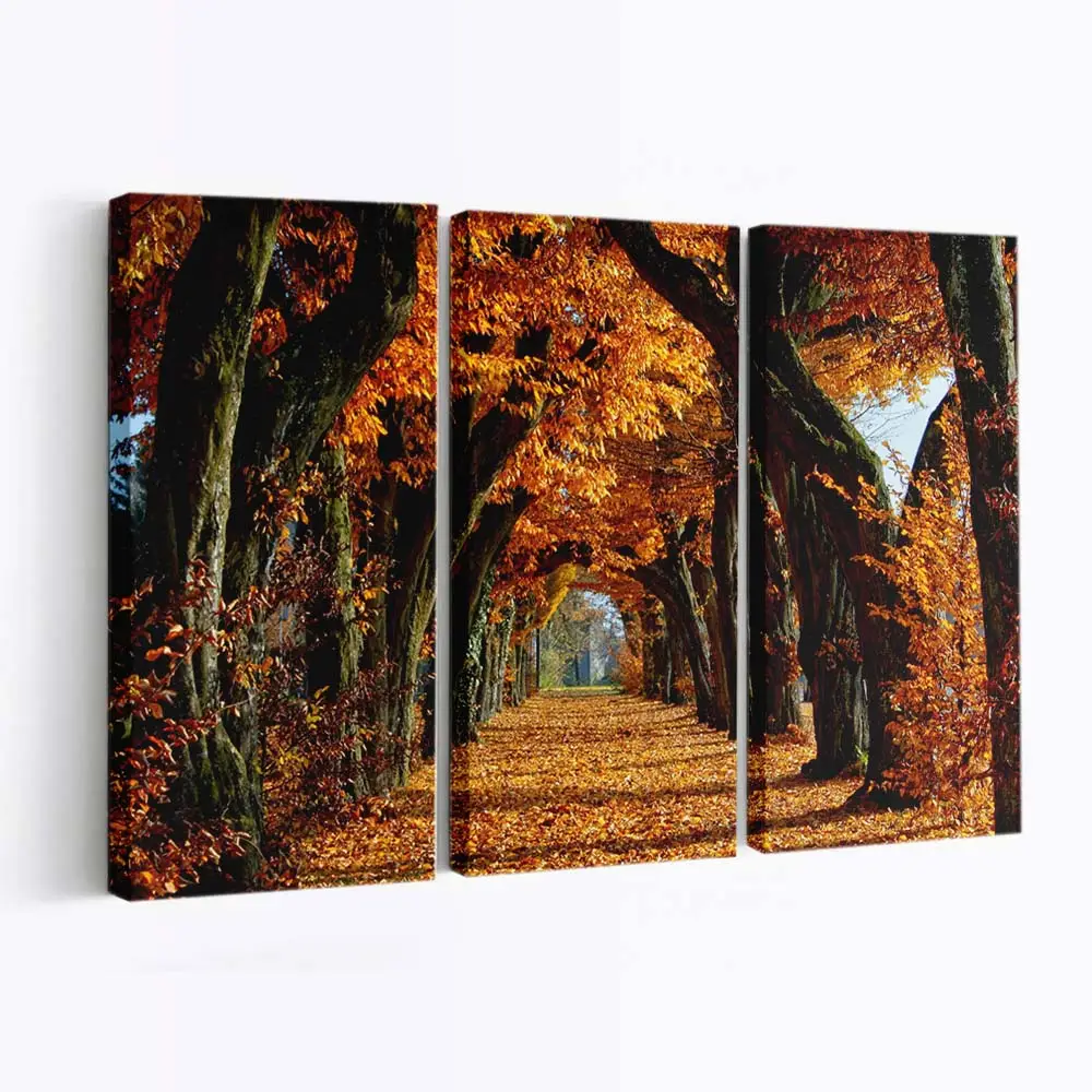 Malerischer Weg In Der Herbstzeit Leinwandbild