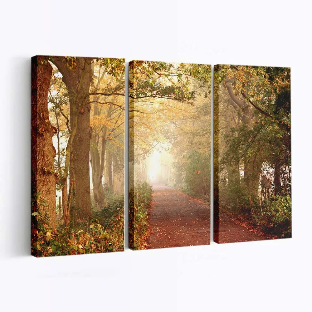 Naturpfad Im Herbst Leinwandbild