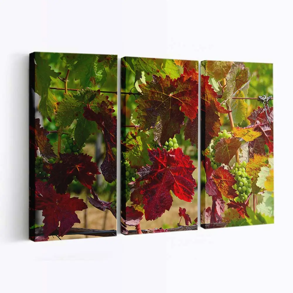 Rausch Der Herbstfarben Leinwandbild