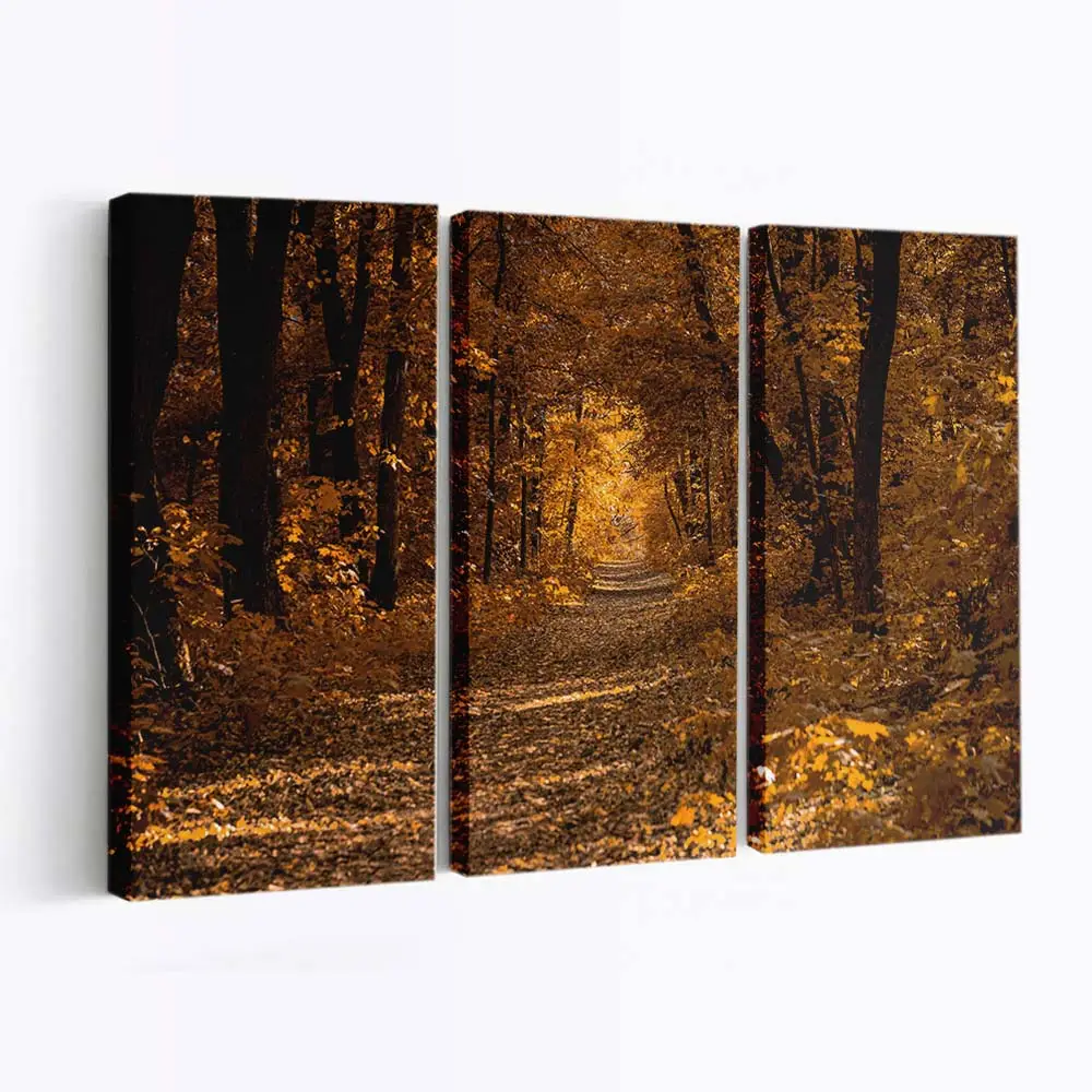 Schöne Farben Der Herbstzeit Leinwandbild