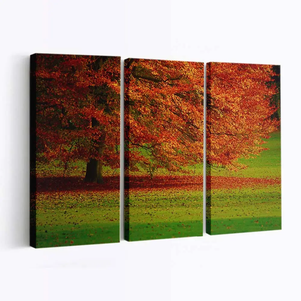 Schöner Orangefarbener Herbstbaum Leinwandbild
