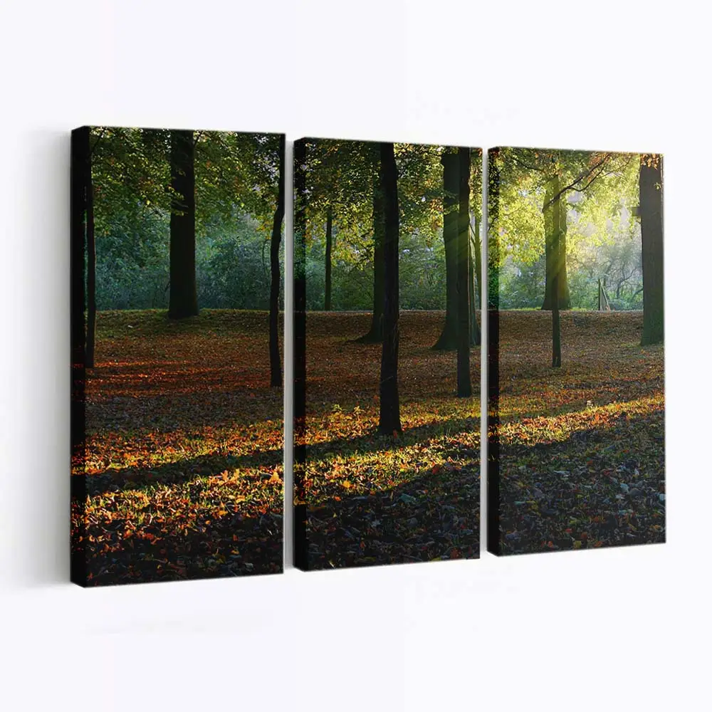 Schönes Goldenes Herbstlicht Leinwandbild