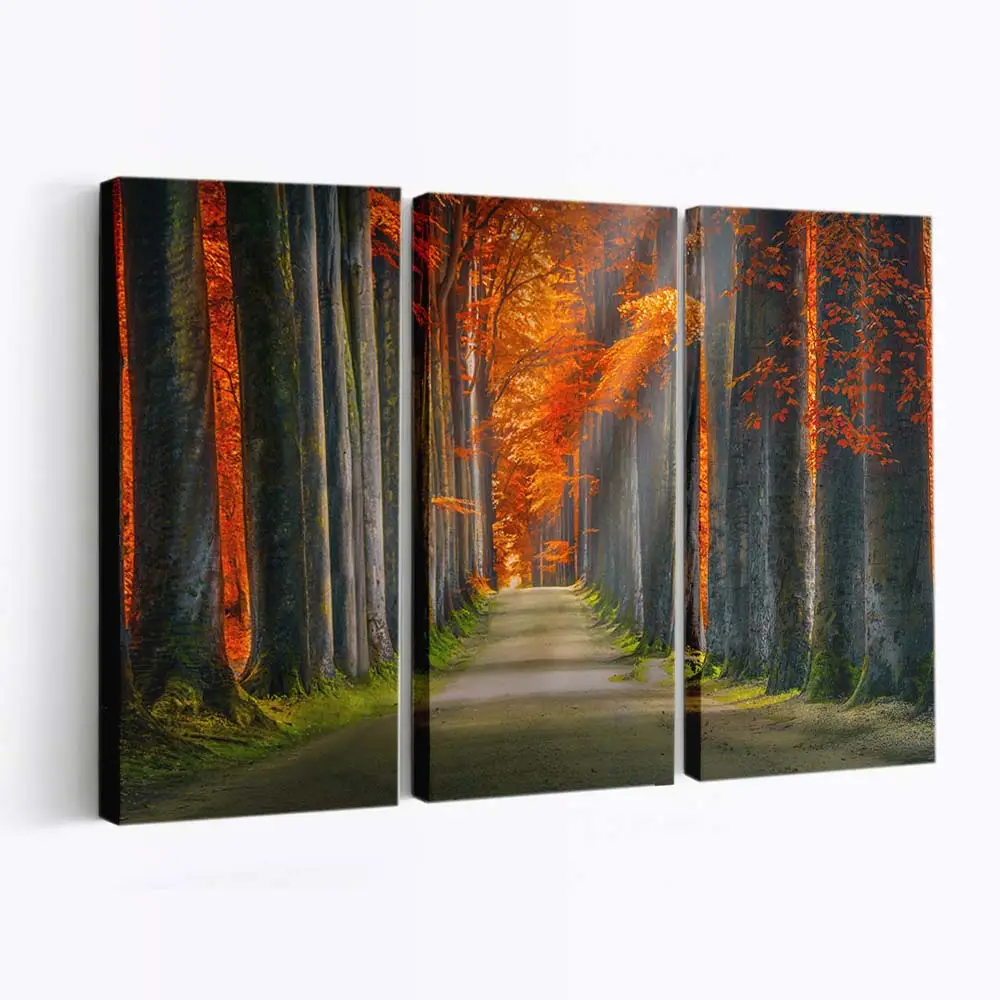 Schönes Herbstliches Nachmittagslicht Leinwandbild