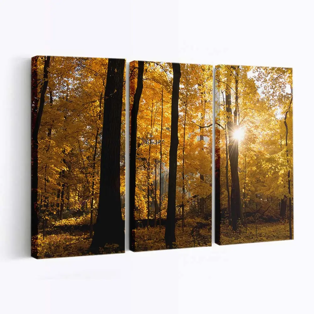 Sonnenaufgang Über Einem Bunten Herbstwald Leinwandbild
