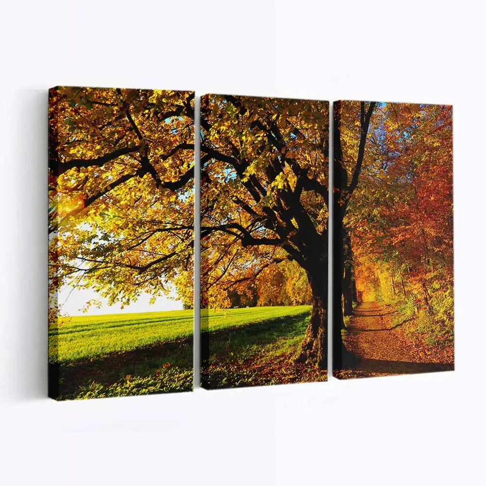 Spaziergang Auf Einem Waldweg Im Herbst Leinwandbild