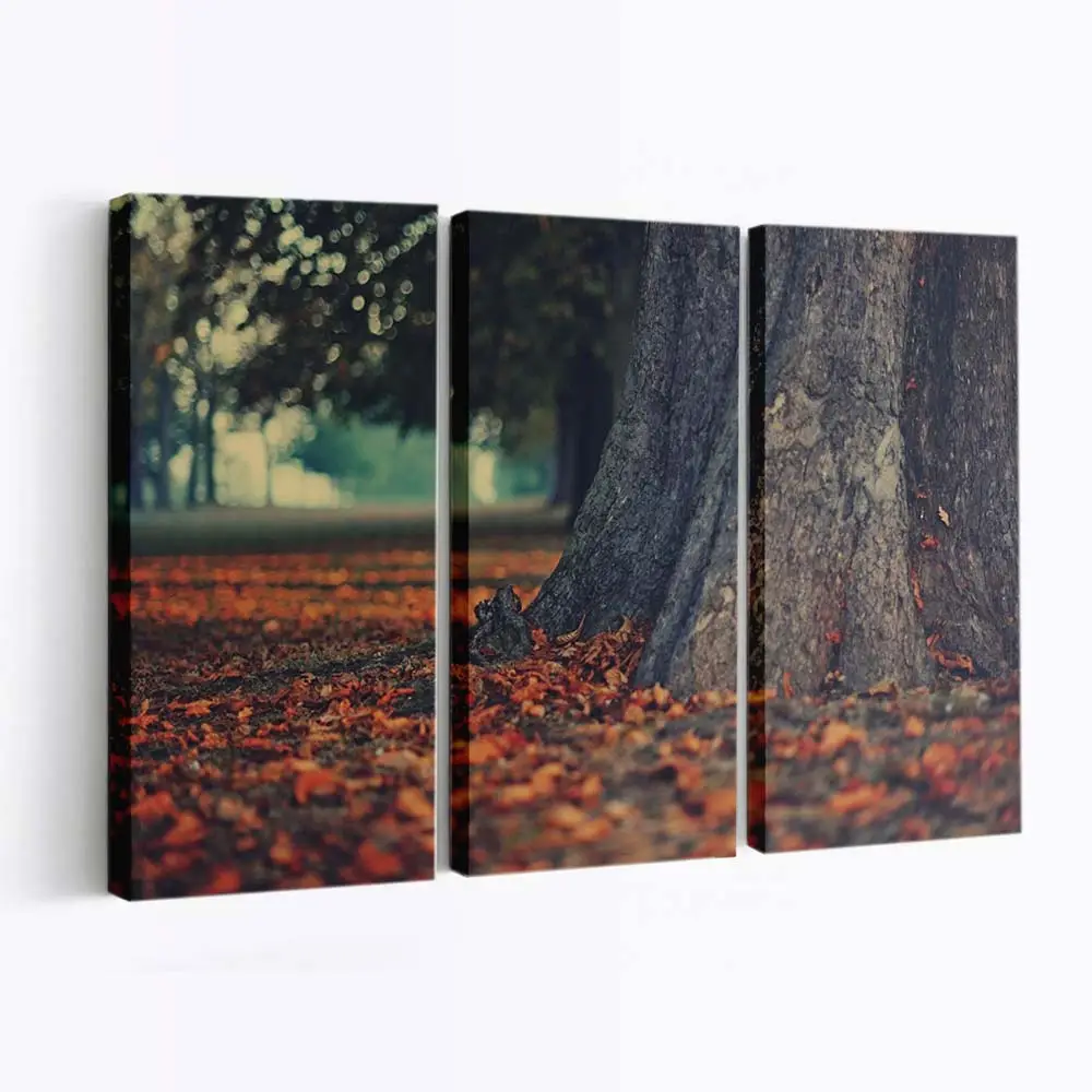 Strukturierter Baumstamm Im Herbst Leinwandbild