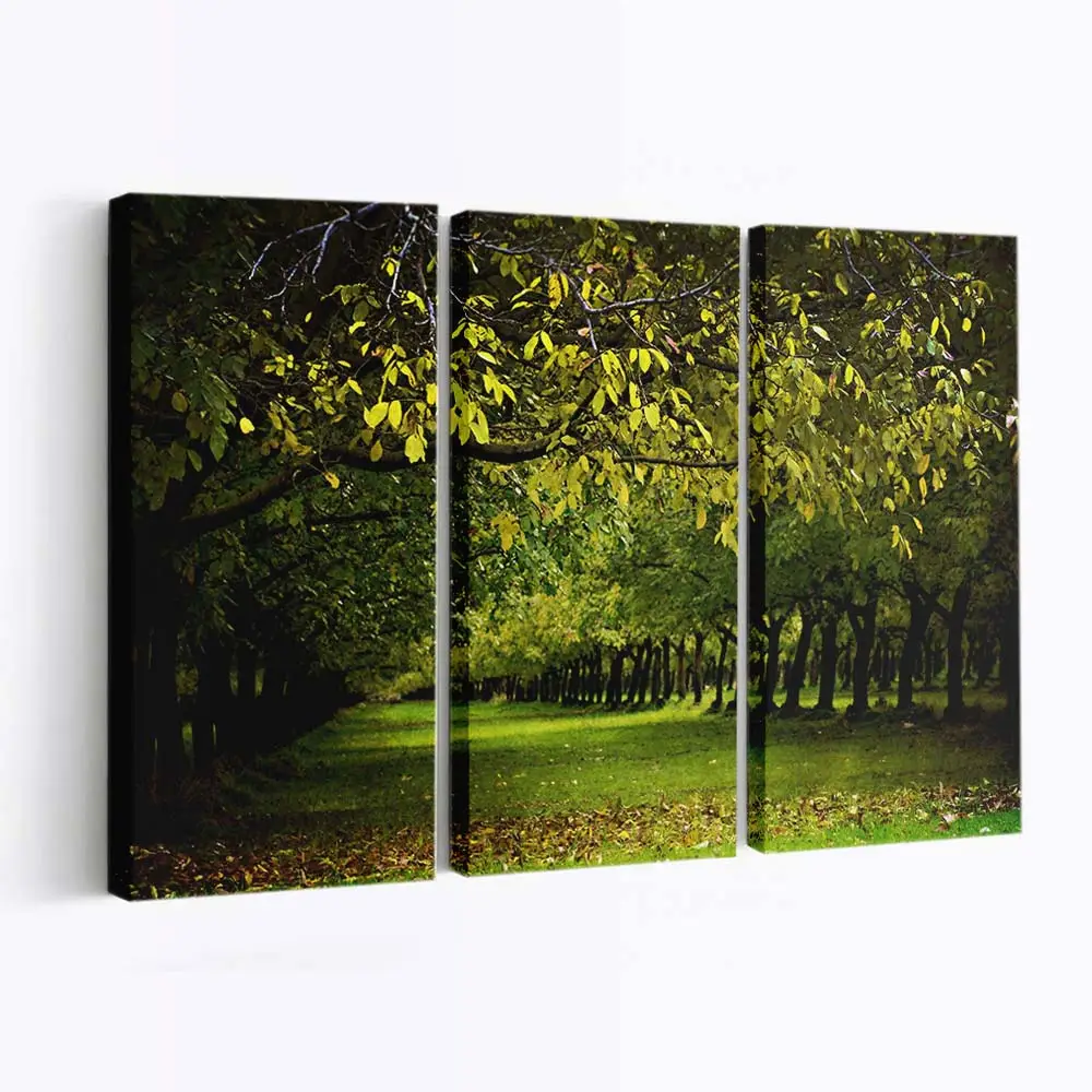 Walnussplantage Im Herbst Leinwandbild