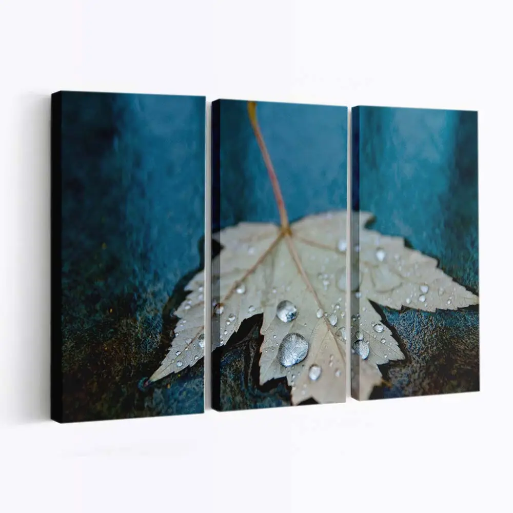 Wassertropfen Im Herbst Auf Blauem Hintergrund Leinwandbild