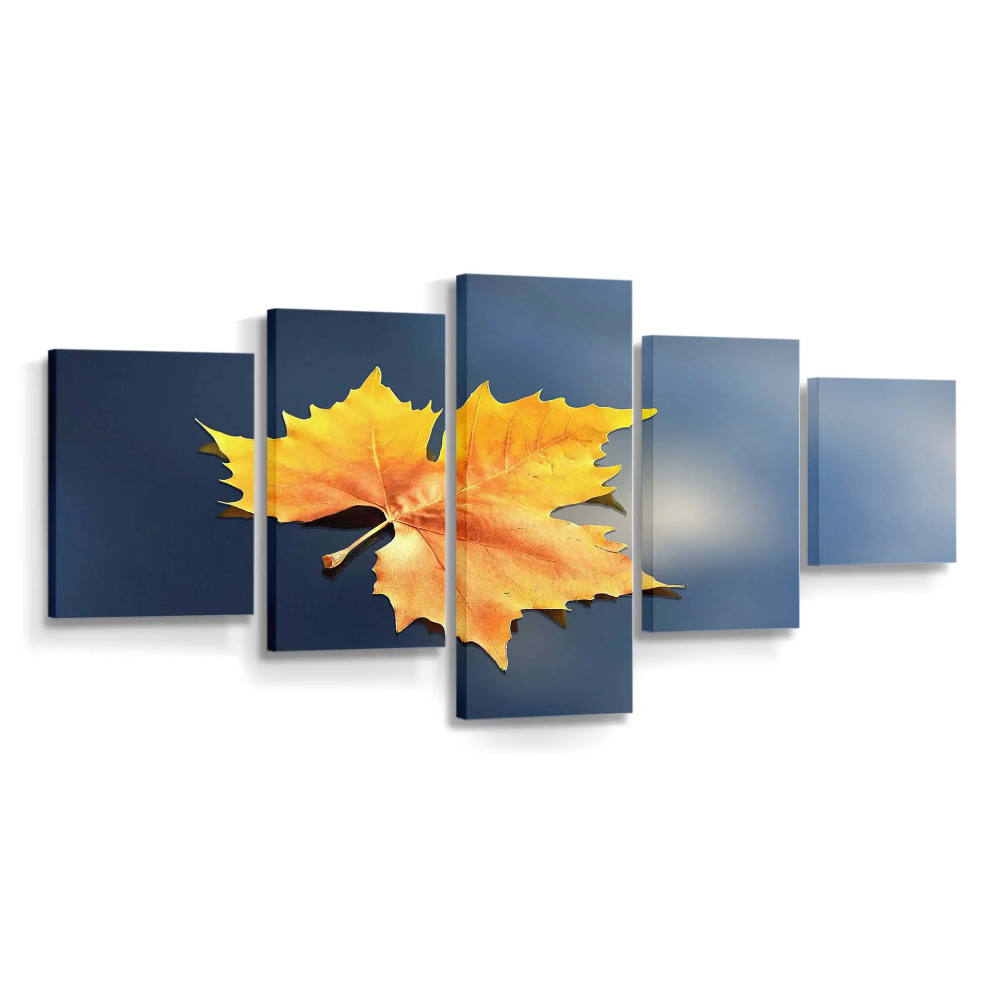 Einsames Gefallenes Herbstblatt Leinwandbild