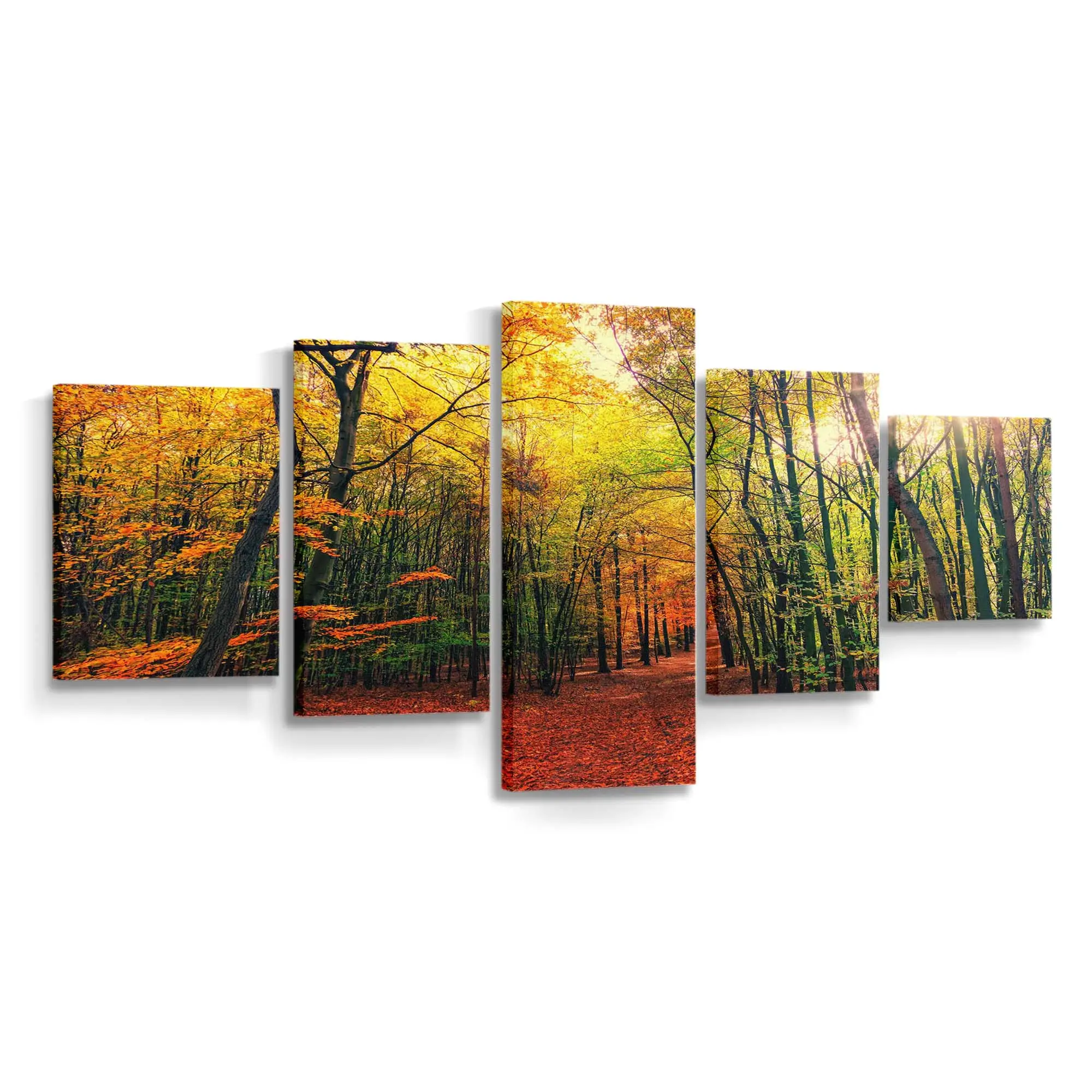 Farben Eines Sonnigen Waldwegs Im Herbst Leinwandbild