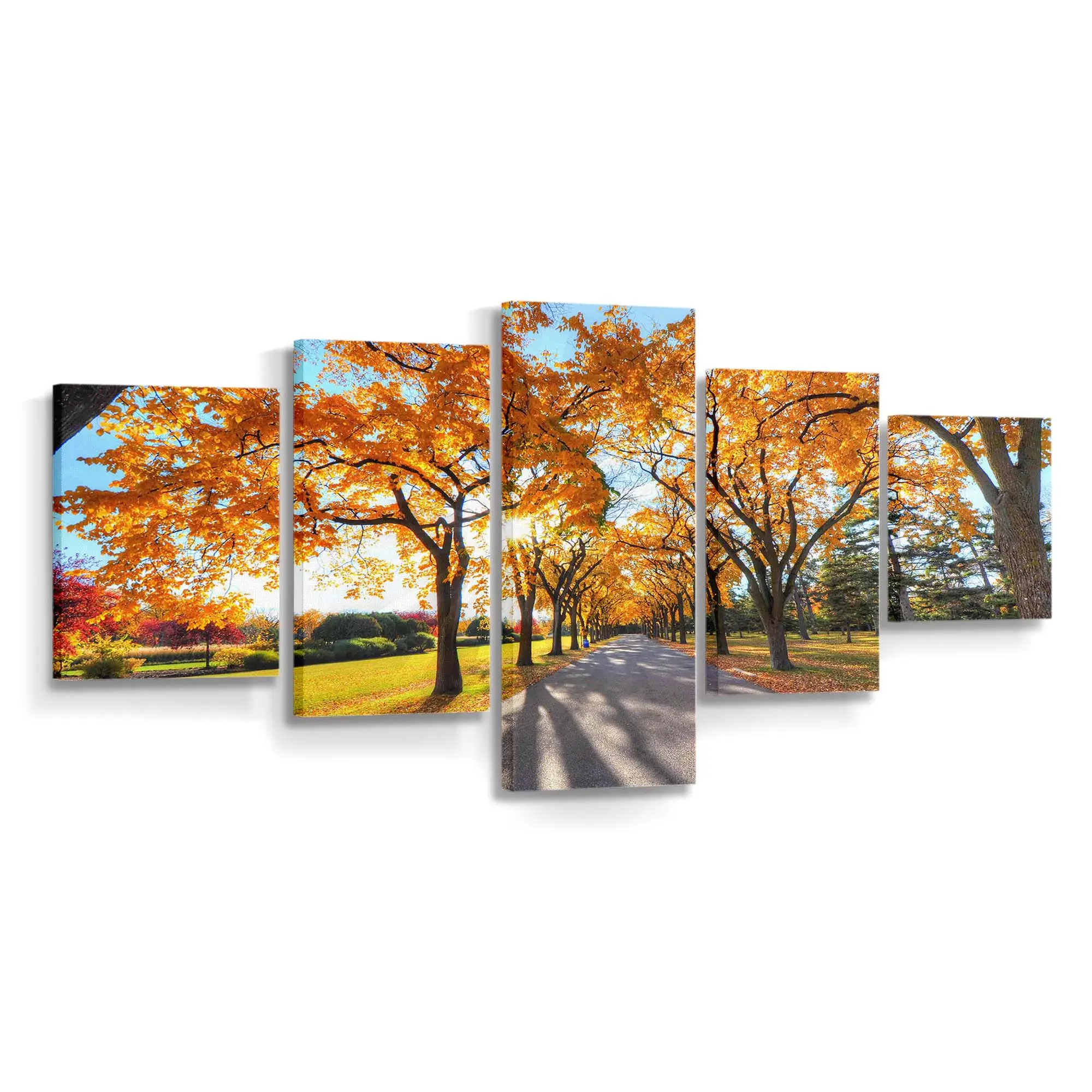 Friedliche Herbstliche Parklandschaft Leinwandbild