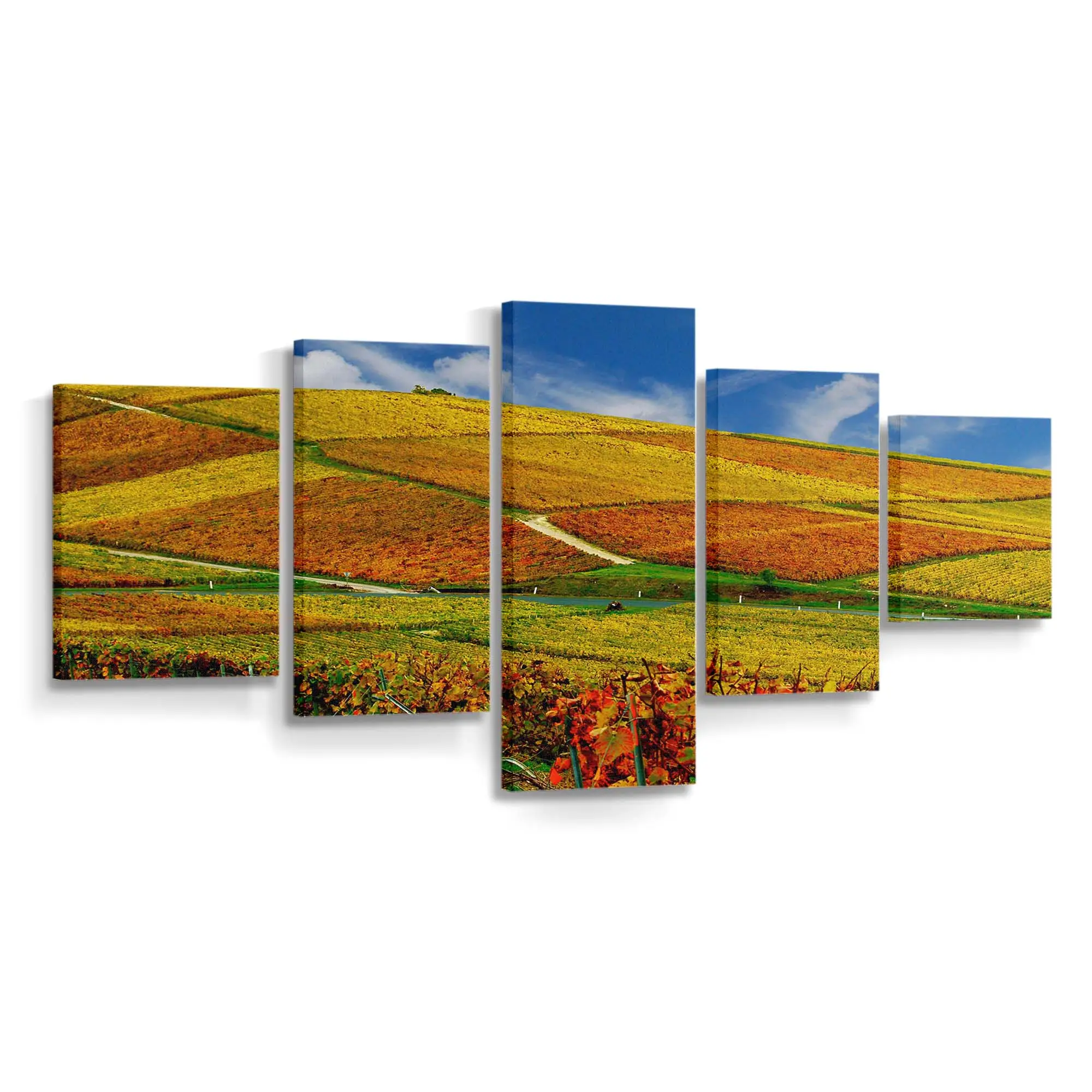 Goldene Herbstliche Weinberge Leinwandbild