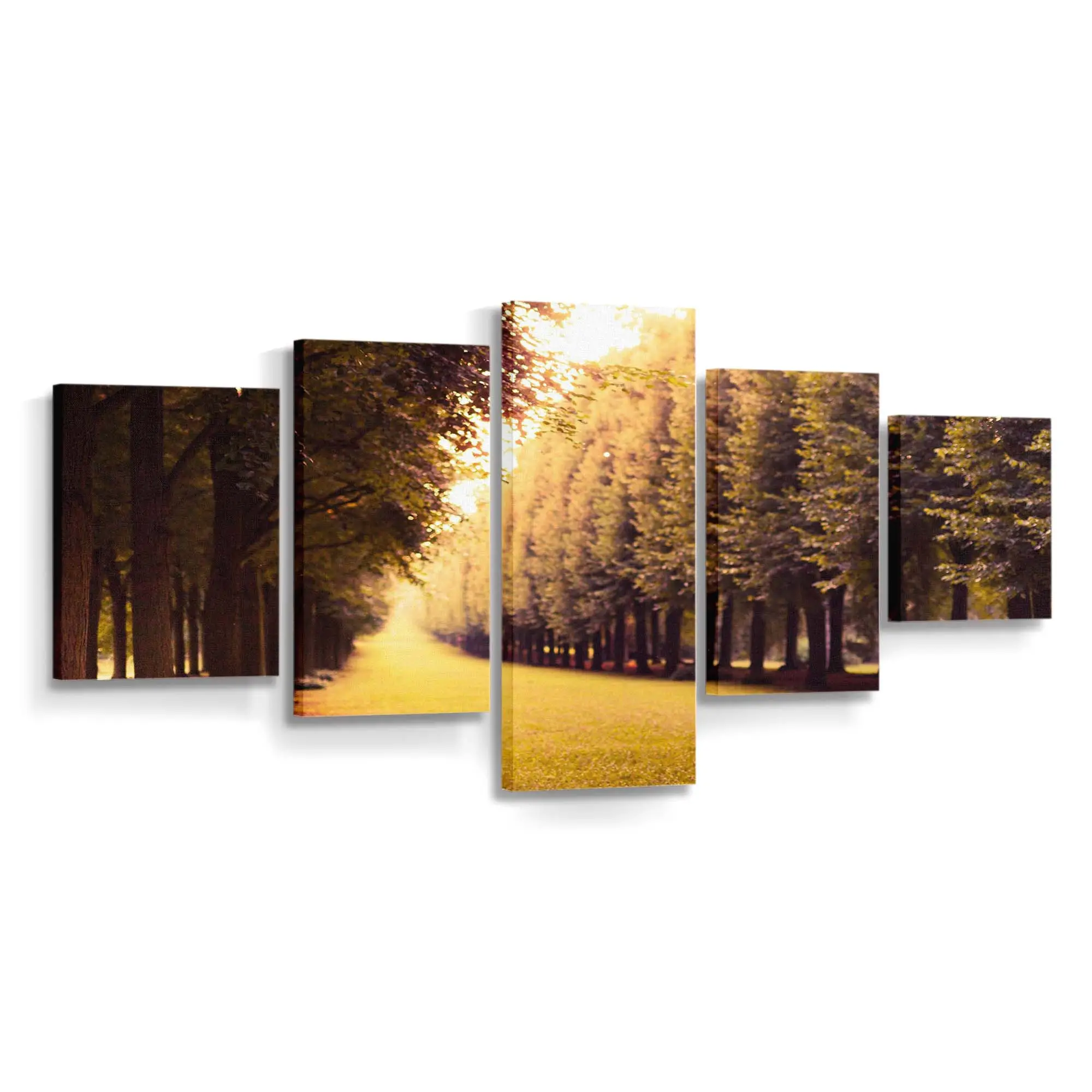 Grasbewachsene Allee Im Herbst Leinwandbild