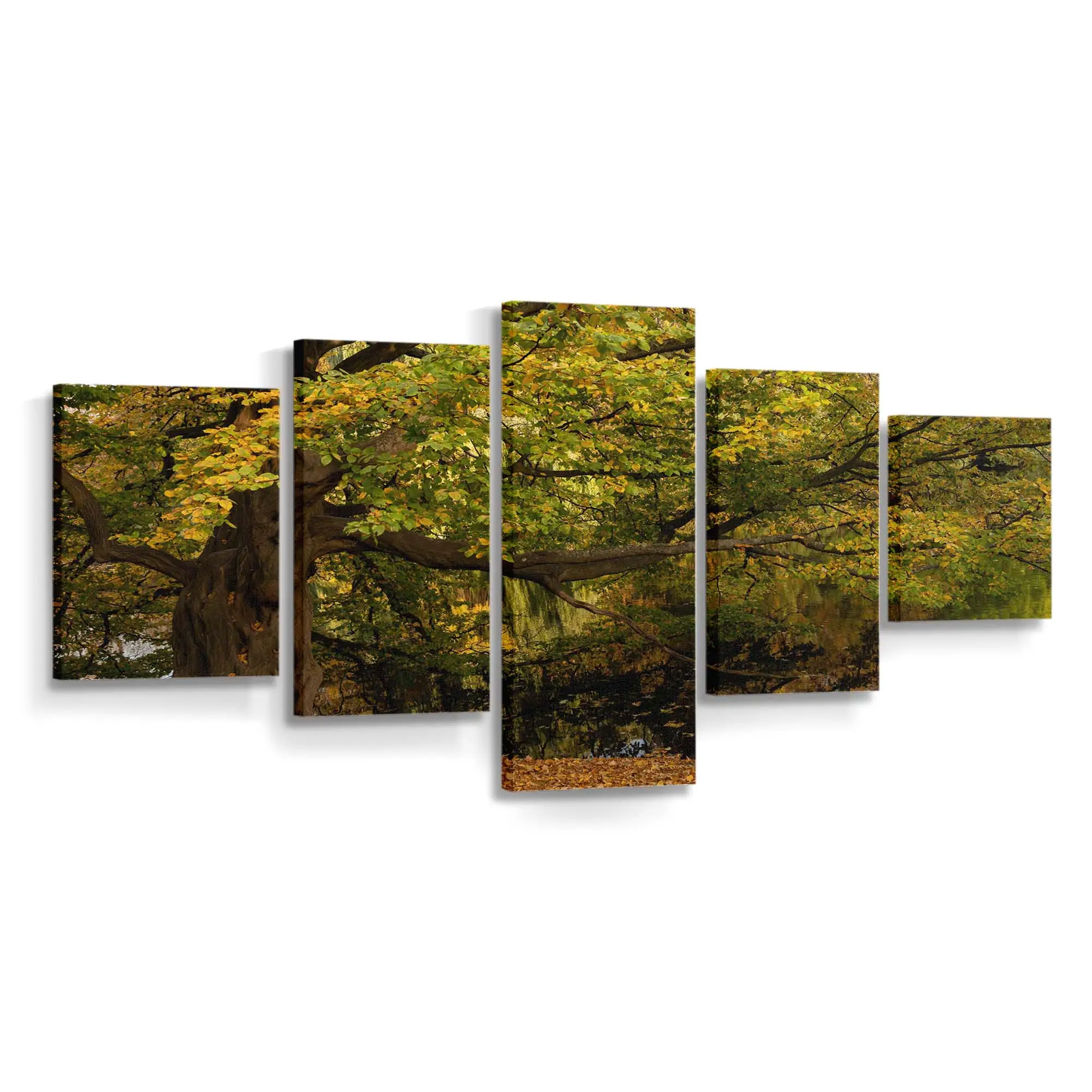 Herbstbaum Am Wasser Leinwandbild