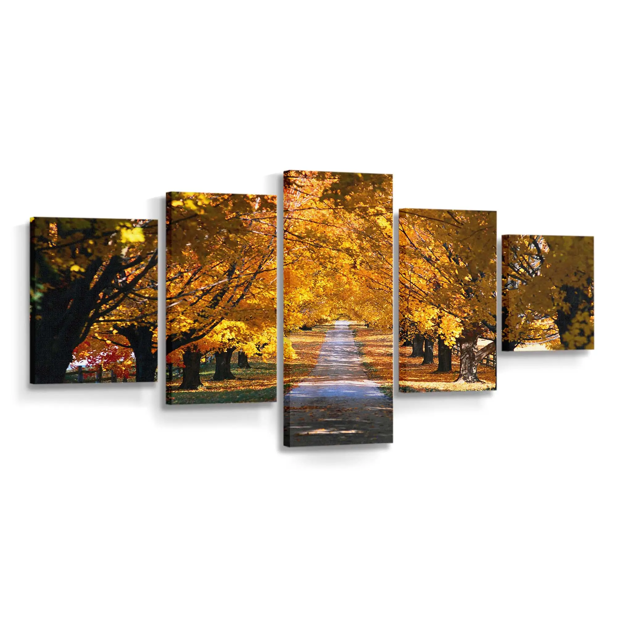 Herbstbume Am Straßenrand Leinwandbild