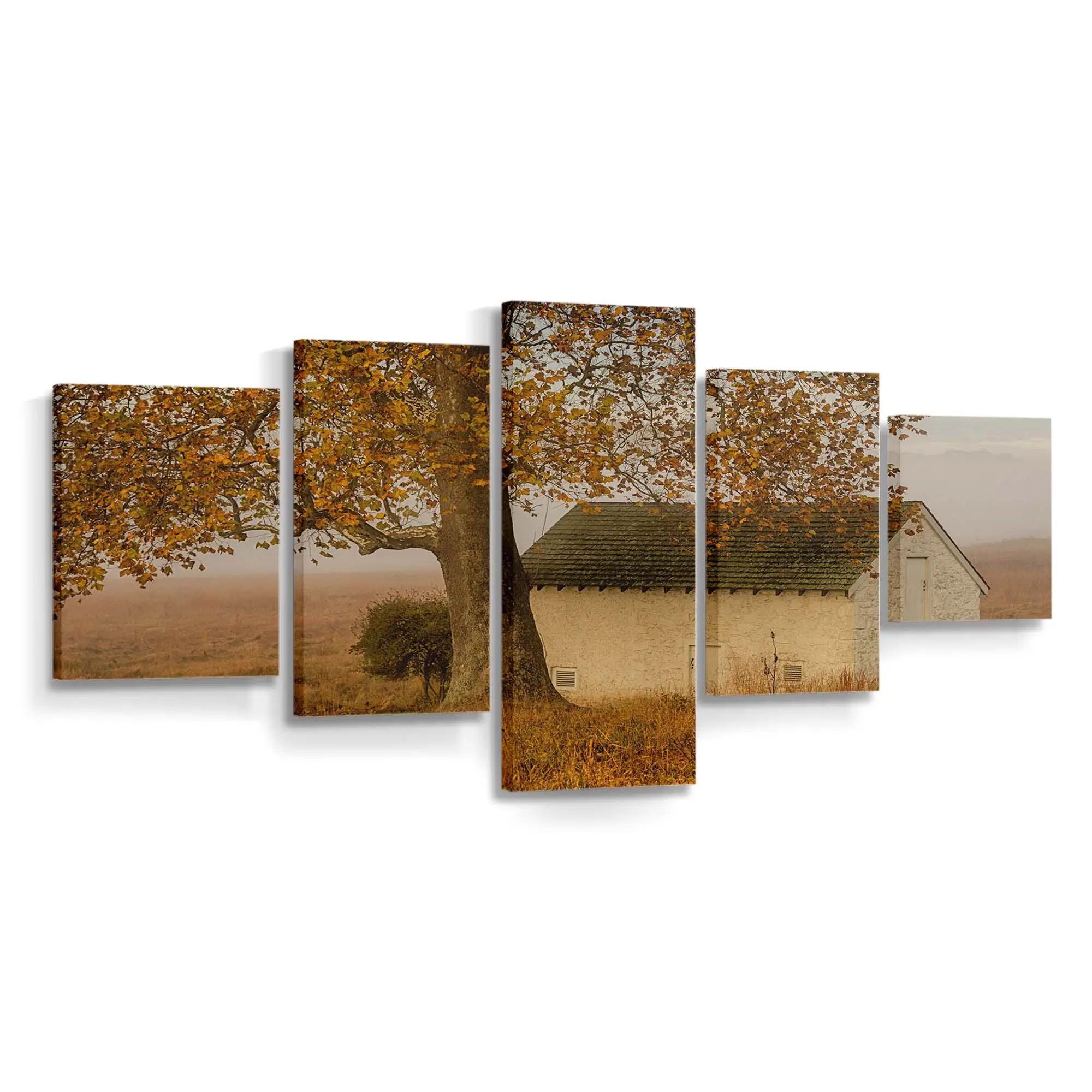 Herbstfarben Auf Dem Land Leinwandbild