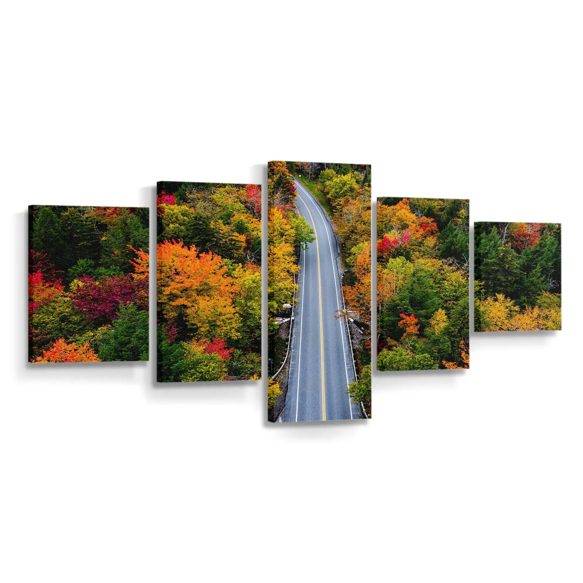 Herbstfarben Entlang Einer Waldstrae Leinwandbild