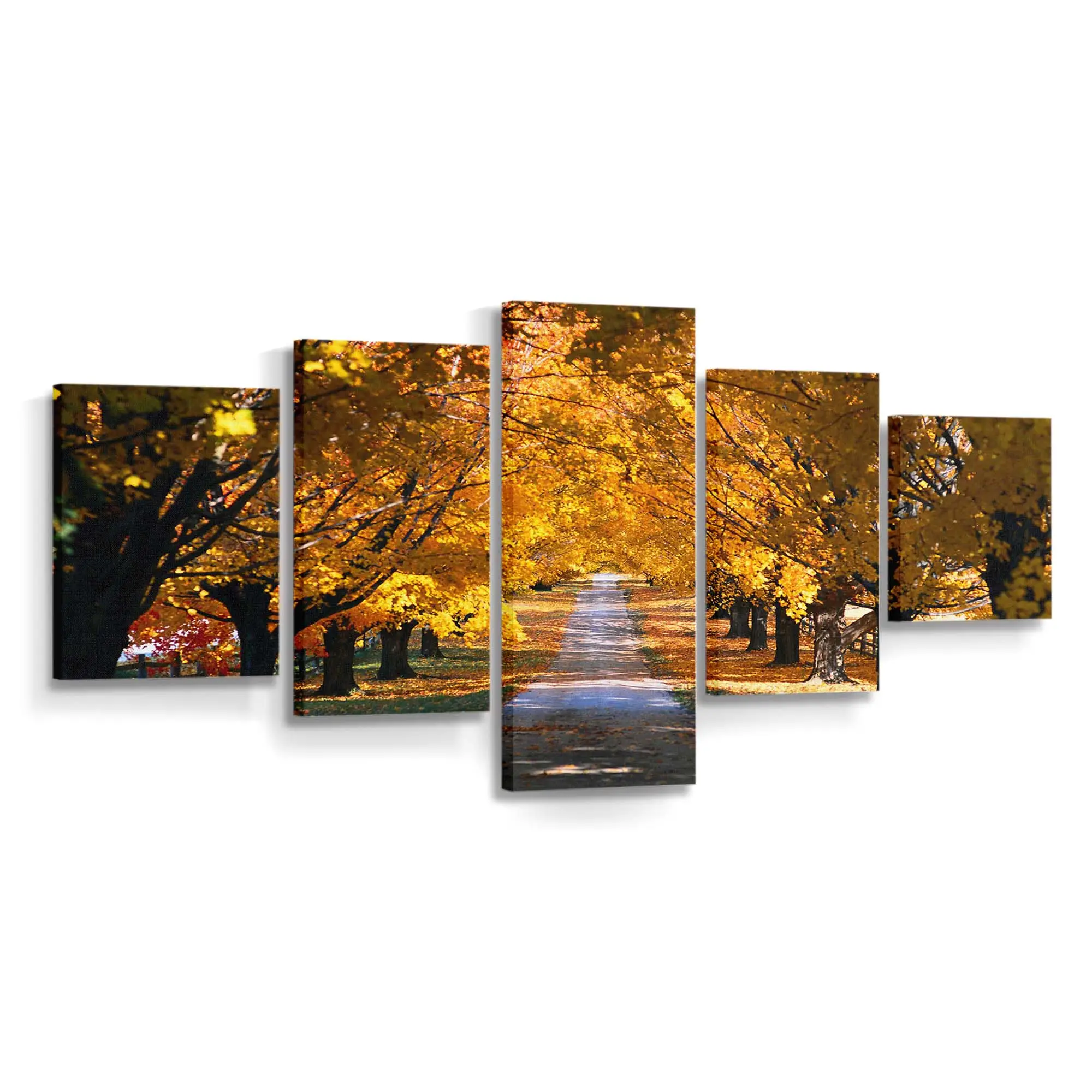 Herbstlicher Baumtunnel Leinwandbild