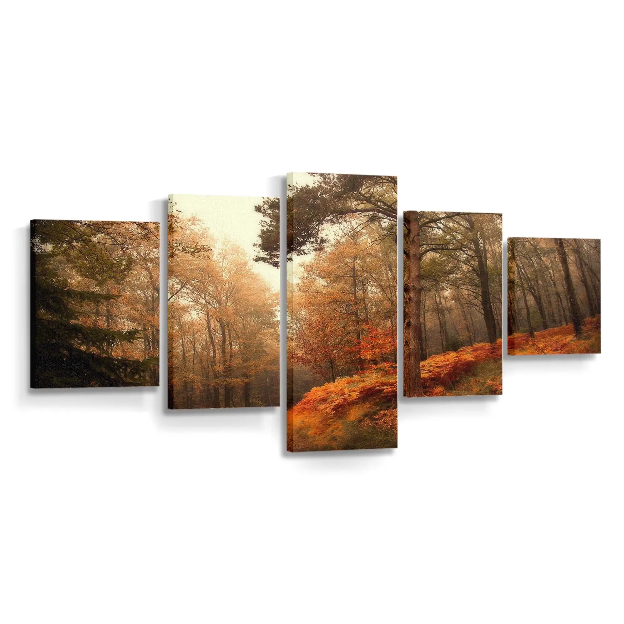 Herbstlicher Weg Durch Die Überge Leinwandbild